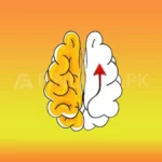 Brain out feature image