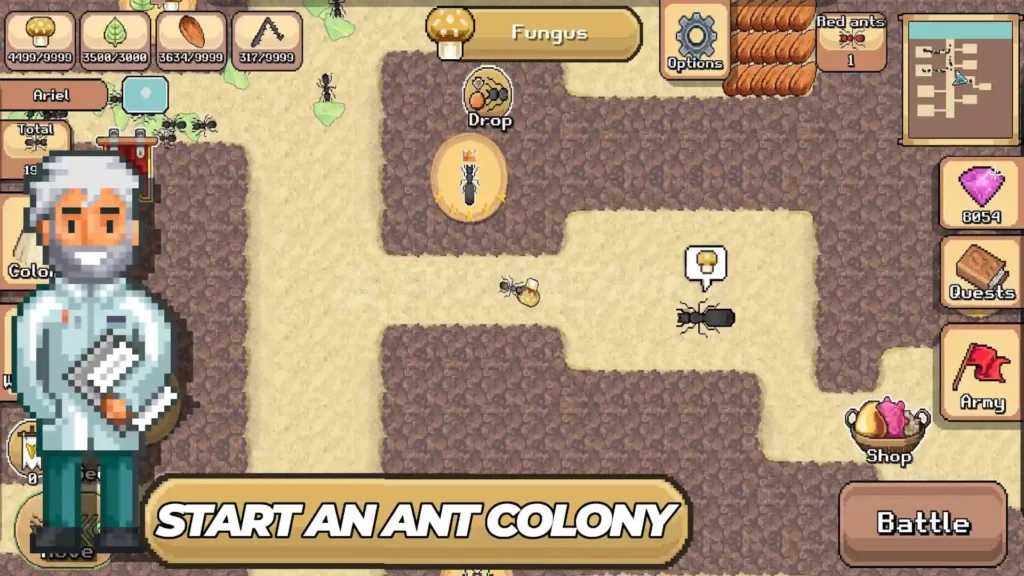Pocket Ants colony construction