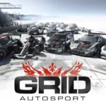 grid autosport feature