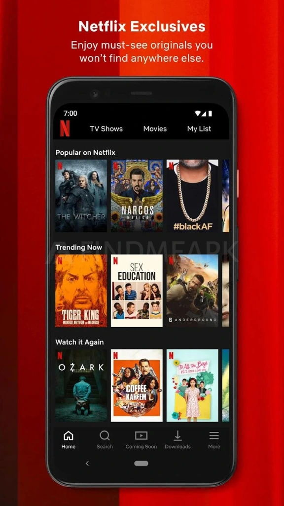 Netflix MOD APK No Ads