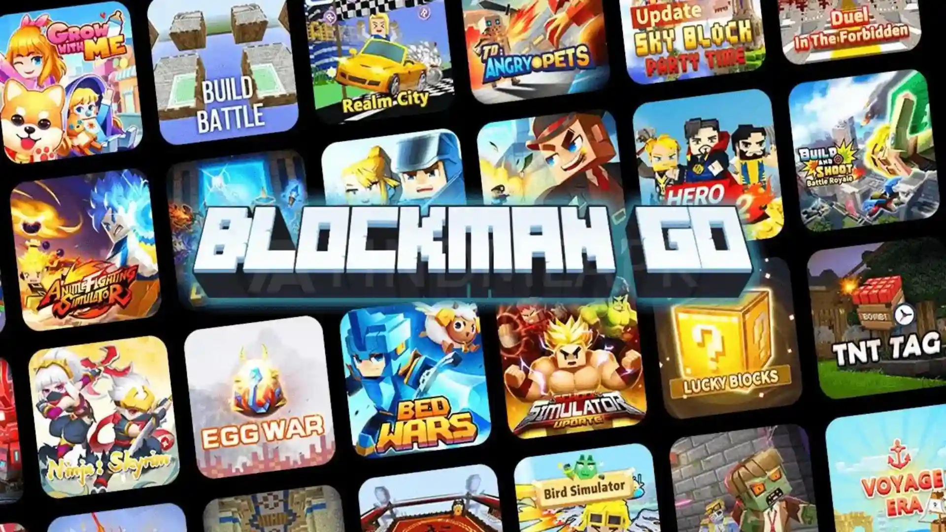 blockman go feature image