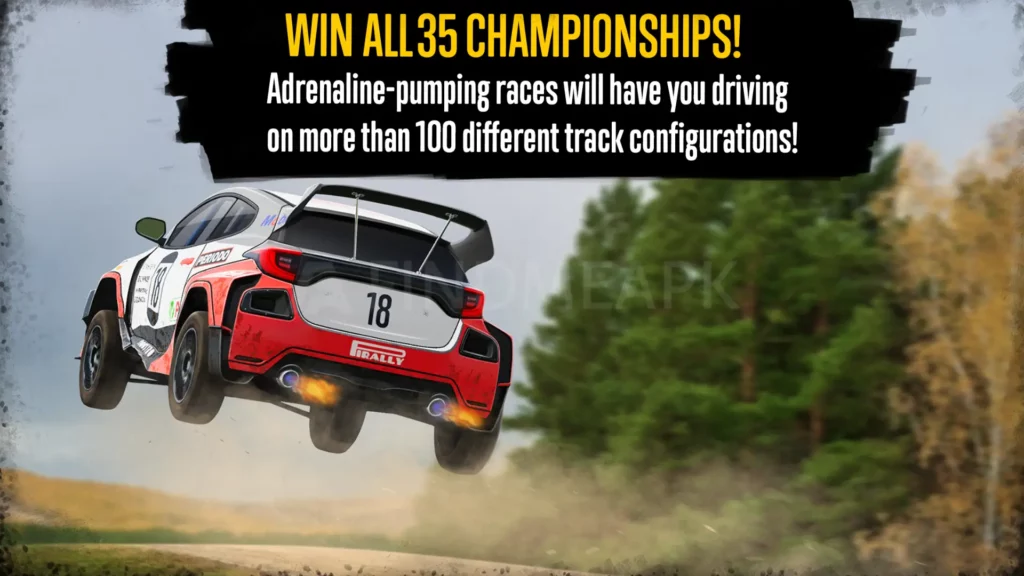Challenges in CarX Rally APK