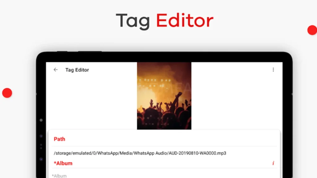 Audiolab tag editor